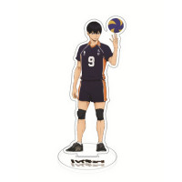 Фігурка акрилова Тобіо Кагеяма №9 Волейбол! - Haikyuu!! (12901) - вид 1 мініатюра