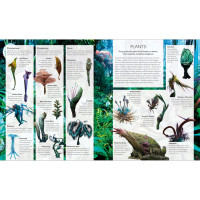 Артбук The World of Avatar: A Visual Exploration англійською мовою (16084) - вид 2 мініатюра