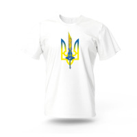 Футболка Меч Геншин Імпакт УКР 140 см Біла (17184) - вид 1 мініатюра