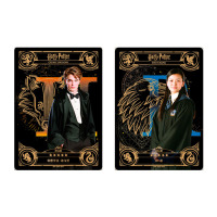 Колекційна карточка Гаррі Поттер Harry Potter (26056) - вид 1 мініатюра