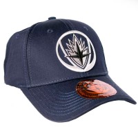 Кепка Guardian Embrodary Logo (ACGUGAMCP007)